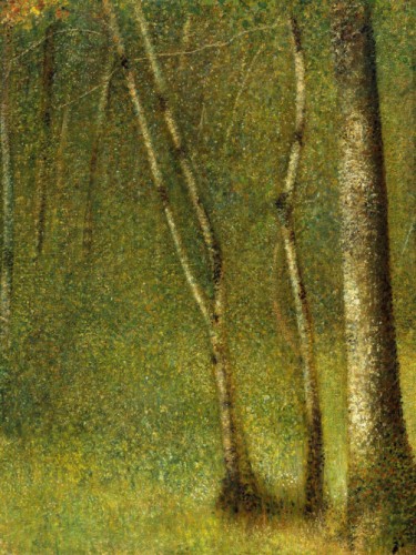The Forest at Pontaubert