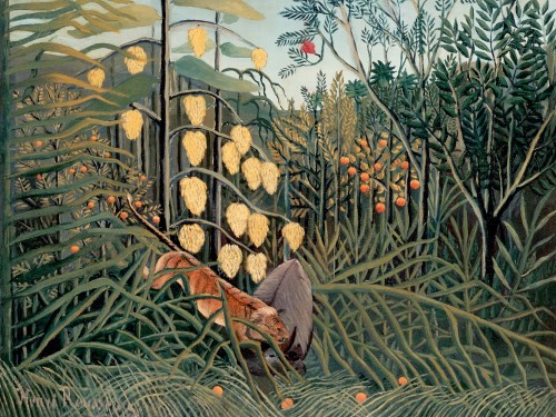 In a Tropical Forest