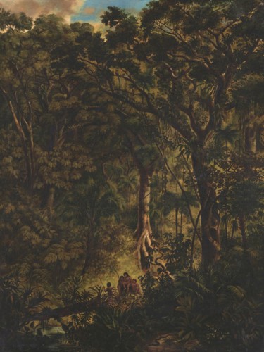 Brazilian Forest