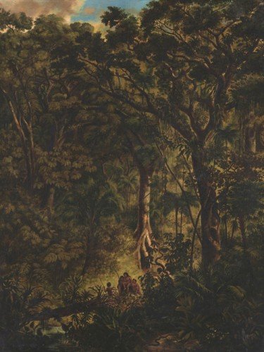 Brazilian Forest