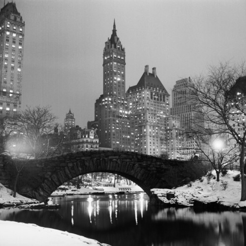 Footbridge in Snowy Central Park
