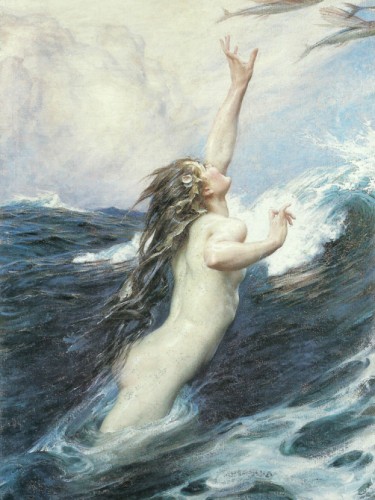 Flying Fish, 1910