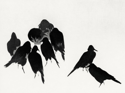 Japanese crows
