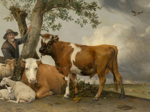 The Bull