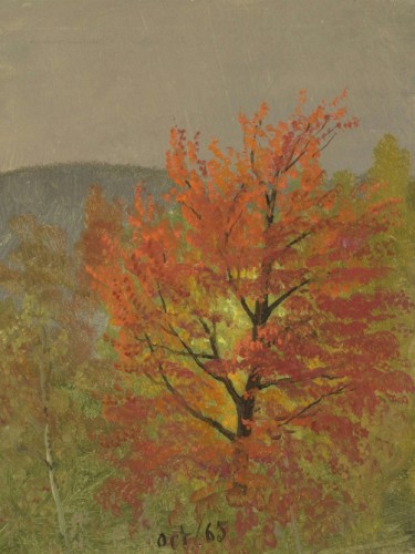 Autumn Landscape