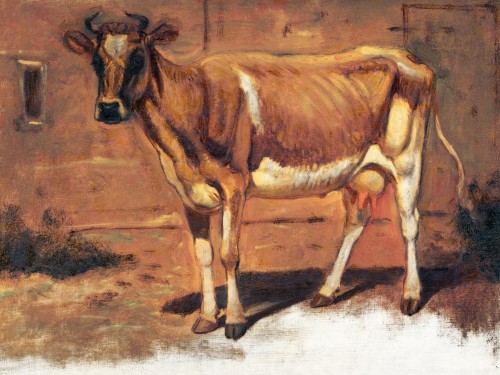 Standing Cow, Farmington