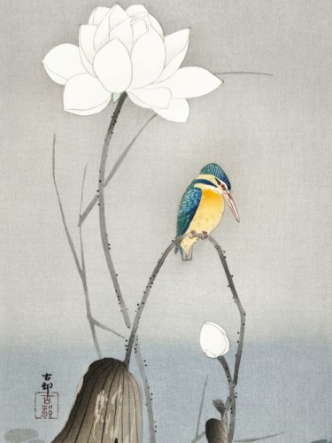 Kingfisher with Lotus Flower