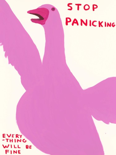 Don't Panic Goose