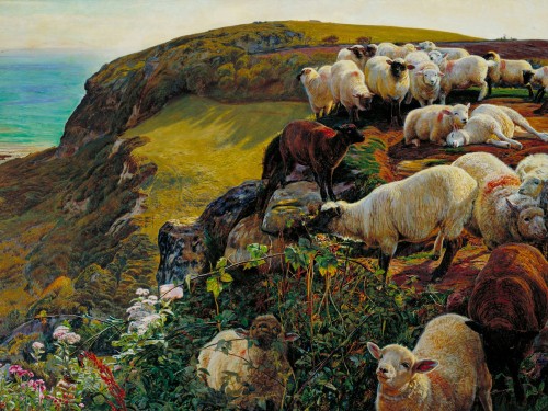 Our English Coasts, 1852