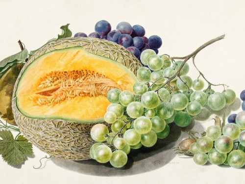 Fruits