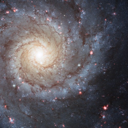 M 74
