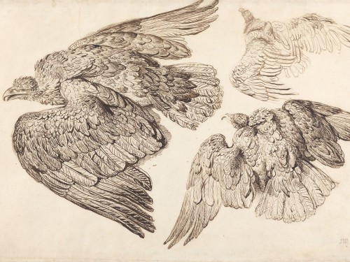 Eagles