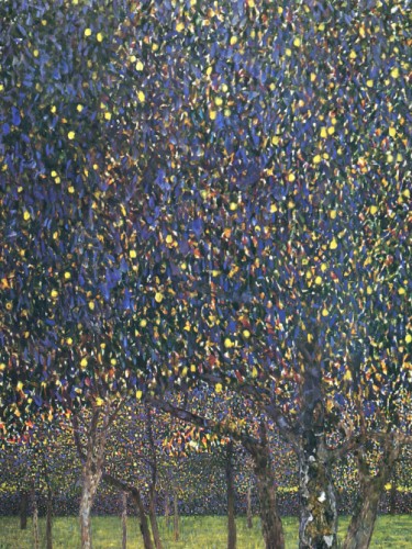 Груш -дерево, 1903