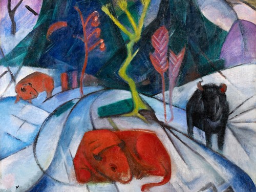 Bison in winter
