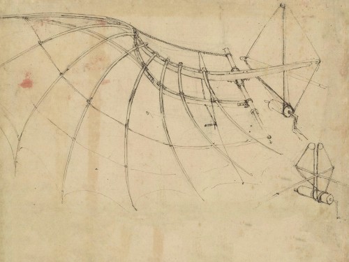 Картина Атлантический кодекс f. 858