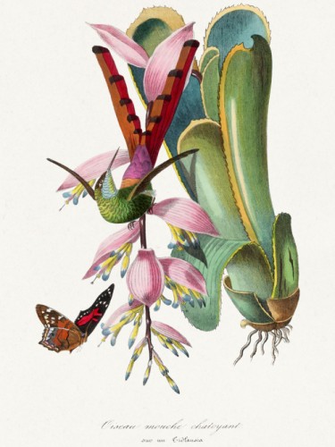 Le Jardin des Plante