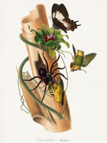 Le Jardin des Plante
