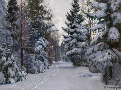 Зимний лес. Колея в снегу