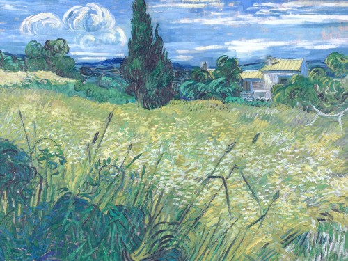 Green Wheat Field with Cypress, 1889