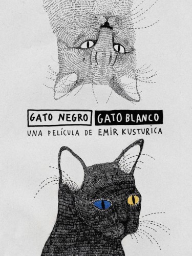 Gato Negro, Gato Blanco