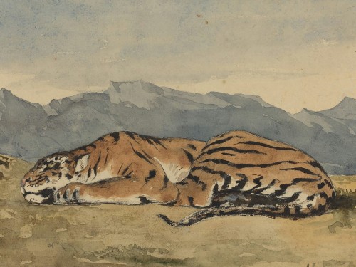 Tiger
