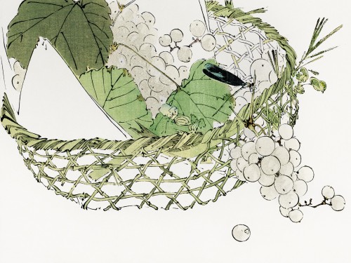 Basket of grapes