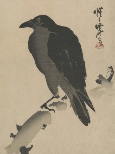Crow on a Branch