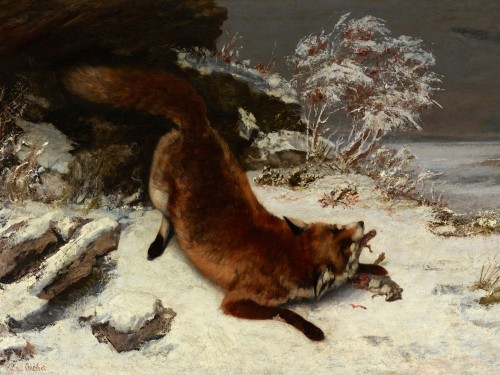 Fox in the Snow
