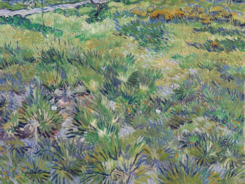 Meadow in the Garden, 1890