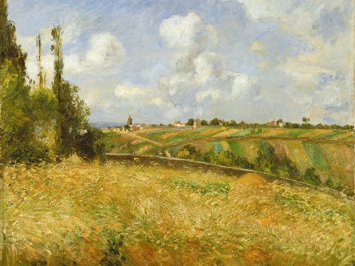 A Rye Field, Hill of Gratte Coqs, Pontoise
