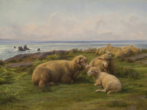 Sheep by the Sea
