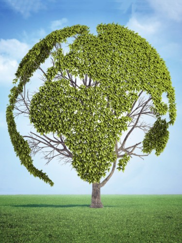 Tree Planet