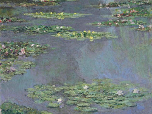 Водяные лилии, 1905