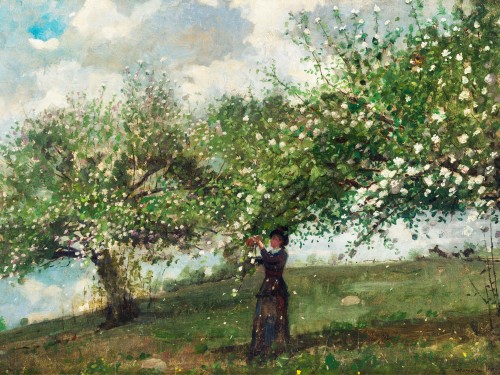 Girl Picking Apple Blossoms, 1879
