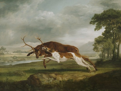 Hound Coursing a Stag