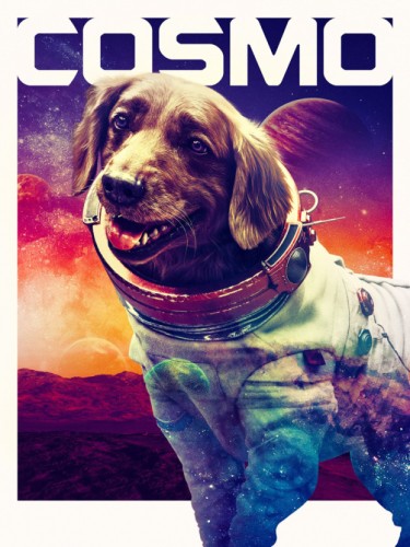 Cosmos