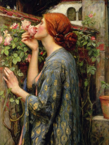 Душа розы, 1903
