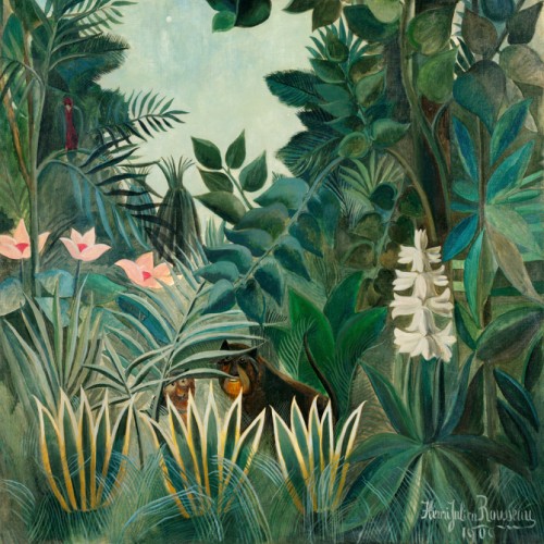 The Equatorial Jungle