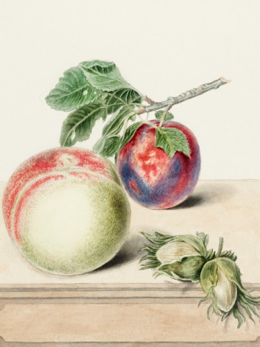 Peach and plum