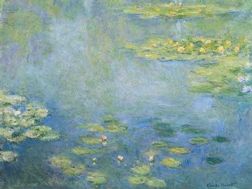 Водяные лилии, 1906