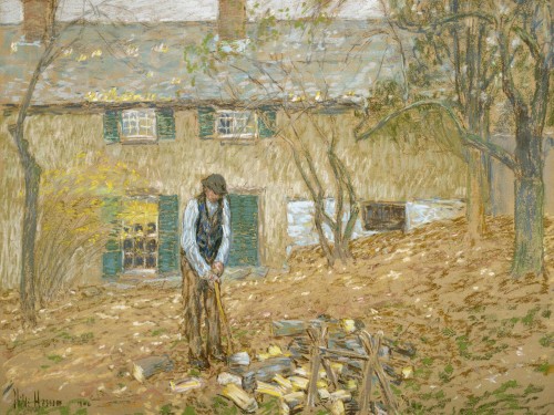 Woodchopper