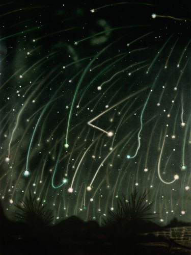 The November meteors