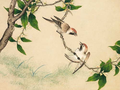 Gossiping Sparrows