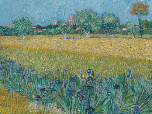 Вид на Арль с ирисами, 1888