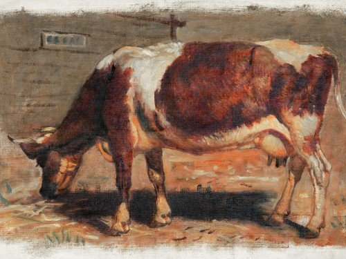 Grazing Cow