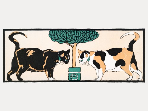 Cats under a tree