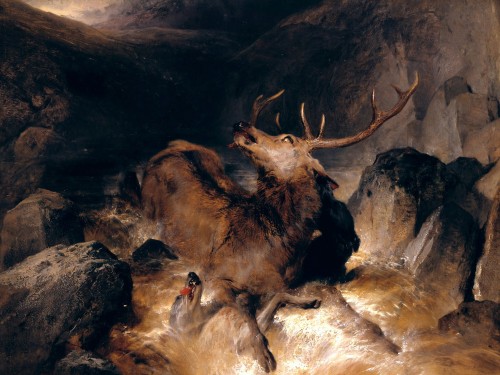 Deer and Deer Hounds in a Mountain Torrent