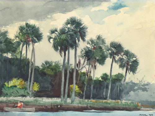 Red Shirt, Homosassa, Florida