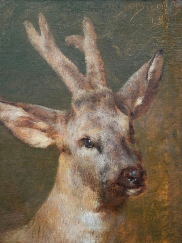 Head of Roebuck