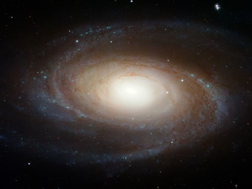 M 81